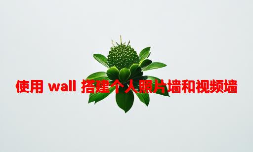 使用 Wall 搭建个人照片墙和视频墙